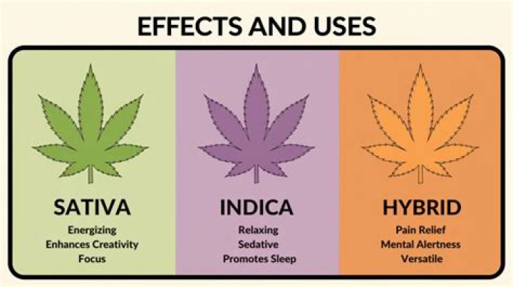 Is Blueberry Cheesecake indica or Sativa?
