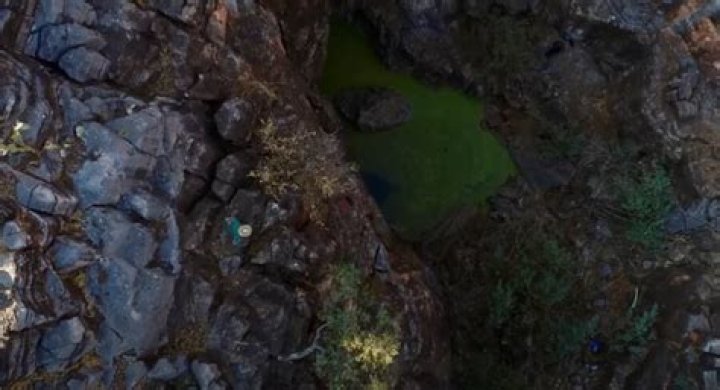 Is Bushman dead?