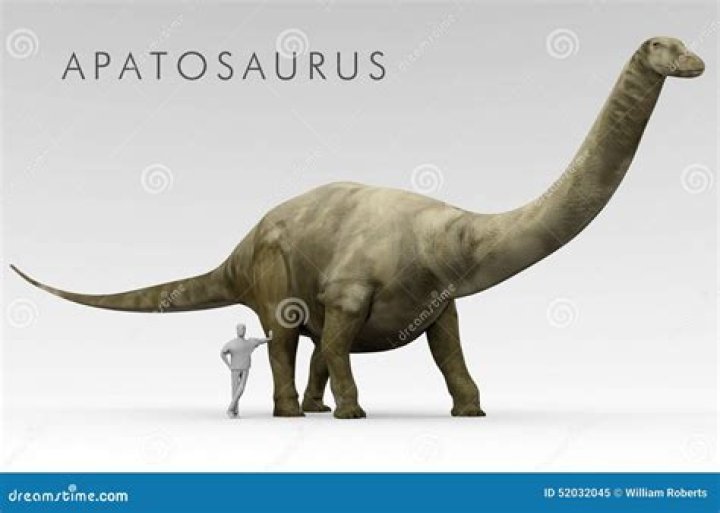 Is Diplodocus the same as Apatosaurus?