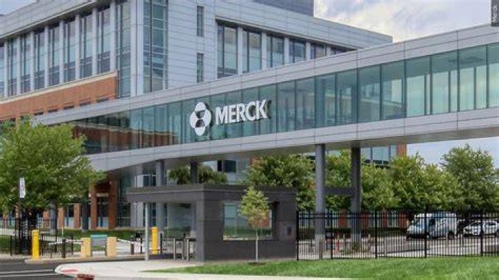 Is Eisai part of Merck?