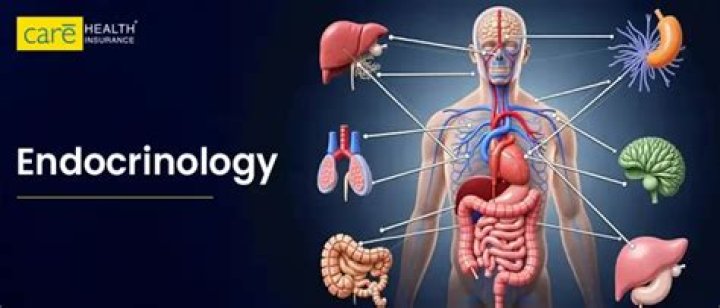 Is endocrinology covered by insurance?