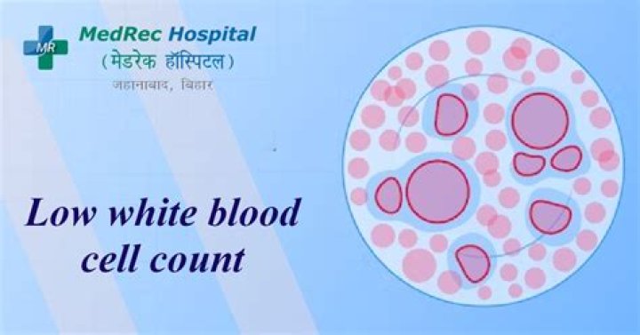 Is fatigue a symptom of low white blood cell count?