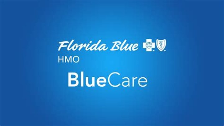 Is Florida Blue HMO the same as BlueCare HMO?