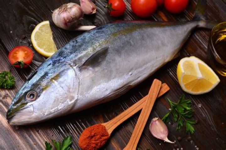 Is greater amberjack good eating?