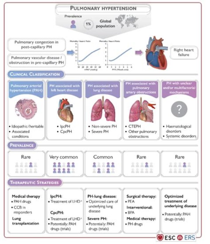 Is it safe to be pregnant with pulmonary hypertension?