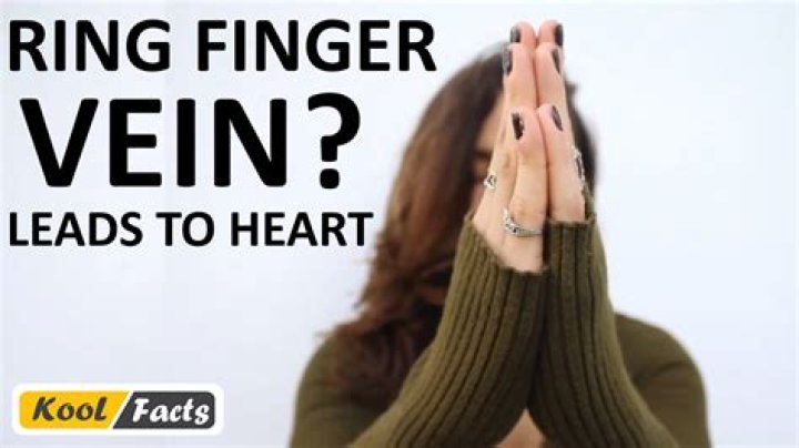Is it true that the ring finger has a vein to the heart?