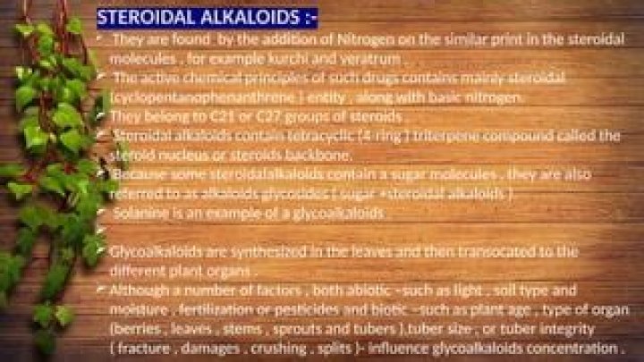 Is Kurchi a steroidal alkaloid?