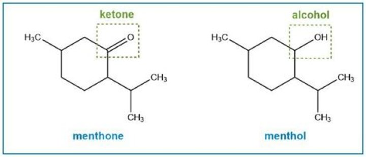 Is menthone safe?
