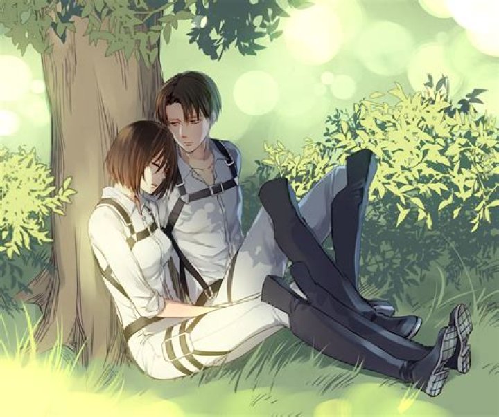 Is Mikasa Eren and Levi related?