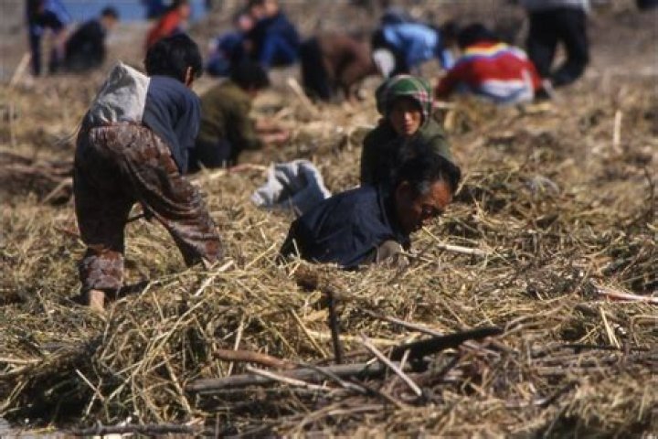 Is North Korea a poor country?