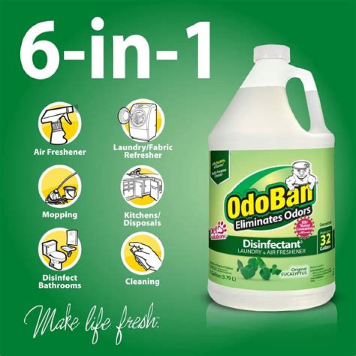Is OdoBan harmful to humans?
