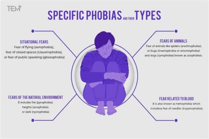Is phobia in the DSM?
