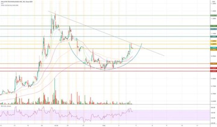 Is PTN stock a good buy?