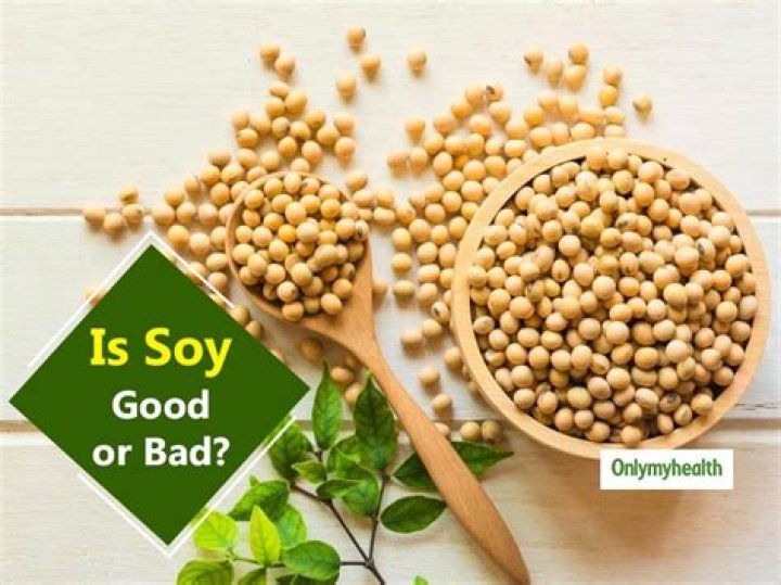 Is soy bad for you research?