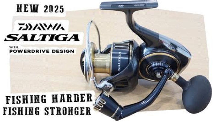 Is the Daiwa saltiga the best saltwater reel?