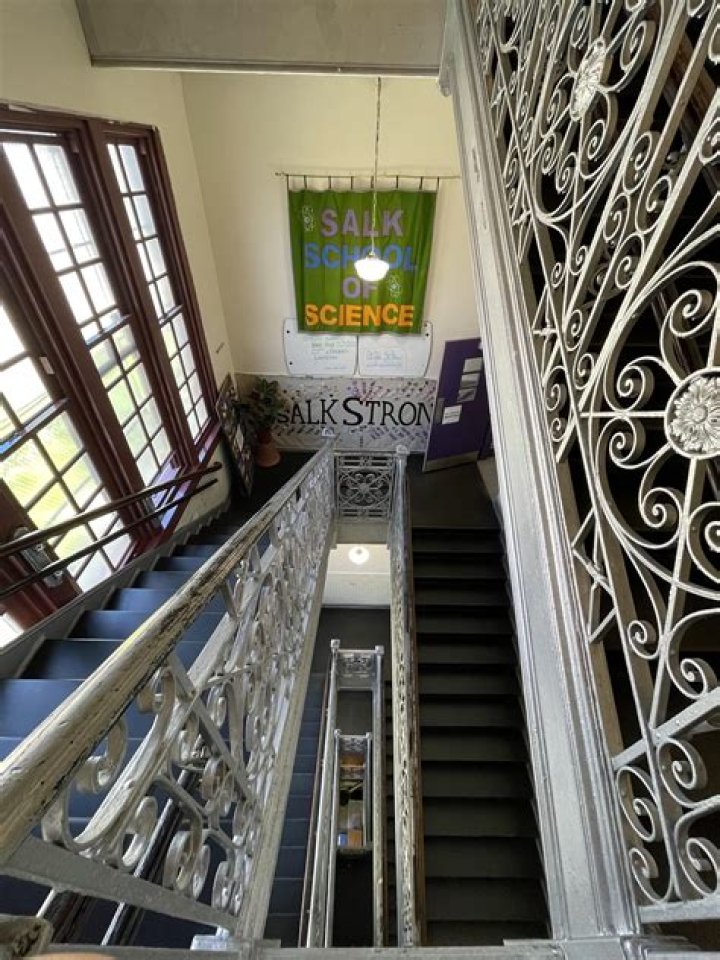 Is the Salk school of Science a public school?