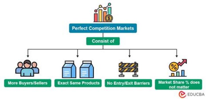 Is the stock market an example of a perfectly competitive market?