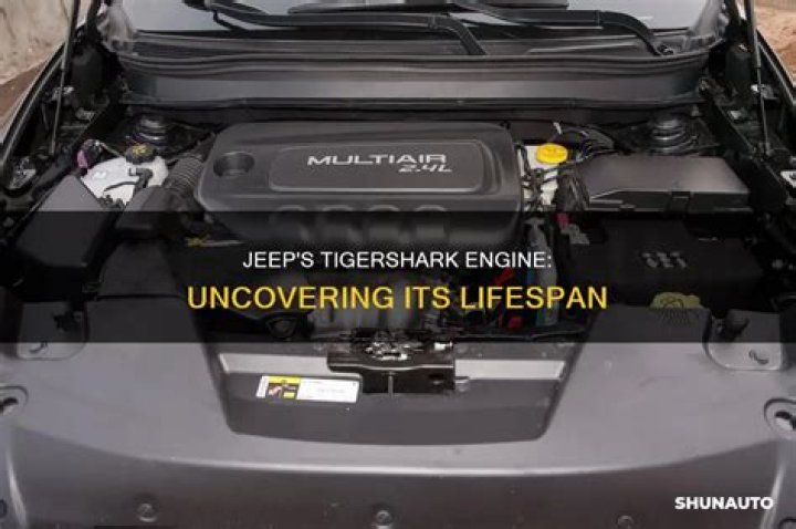 Is the Tigershark engine good?