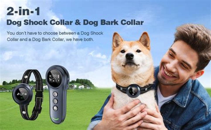 Is there a bark and training collar combo?