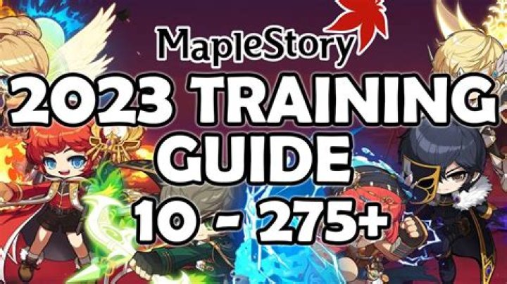 Is there a MapleStory training guide for beginners?
