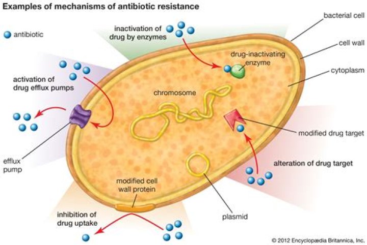 Is there antibiotic resistance to penicillin?