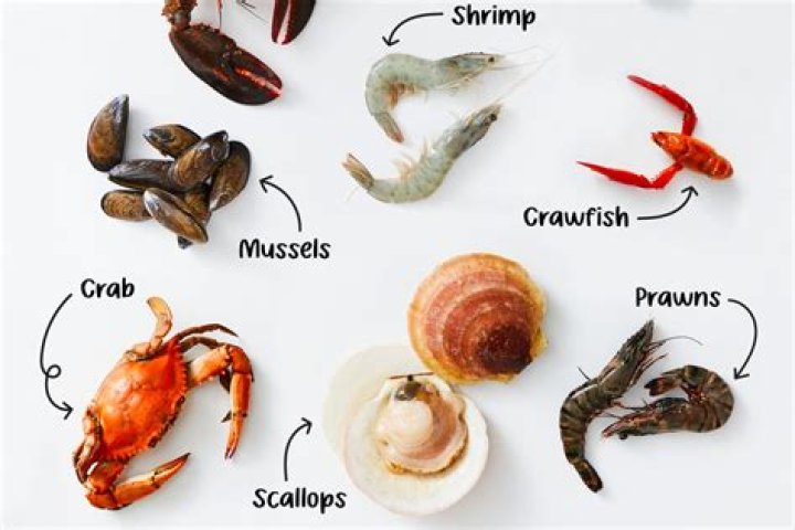 Is there tax on seafood in Maryland?