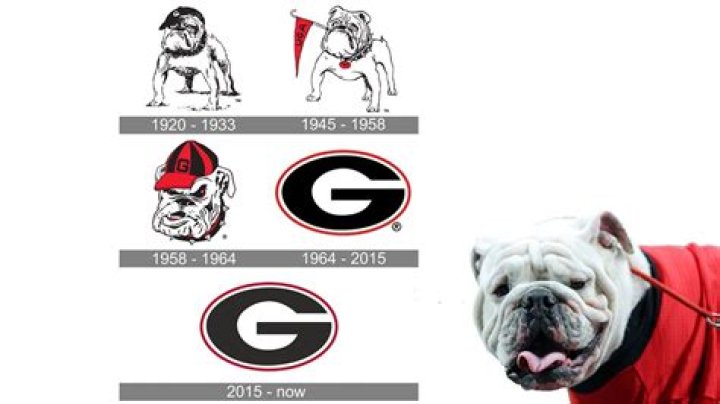 Is UGA copyrighted?