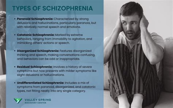 Is undifferentiated schizophrenia common?