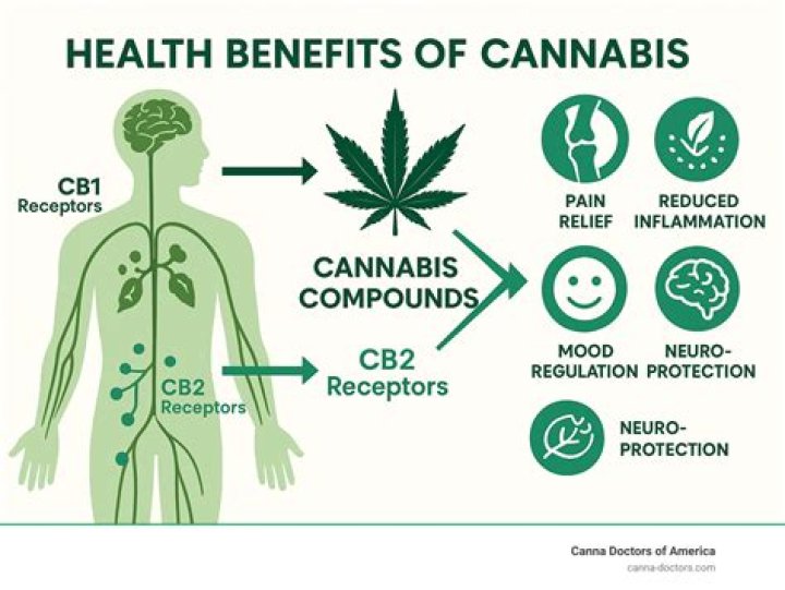 Is weed good for asthmatic patients?