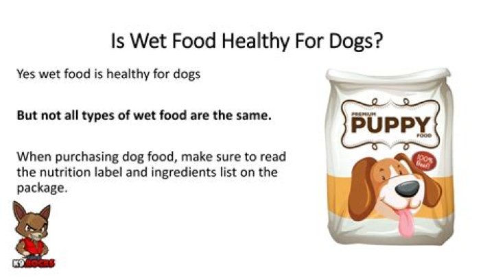 Is Wet good bad for dogs?