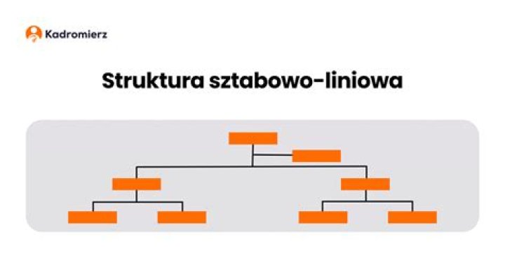 Jaka jest struktura brzozy?
