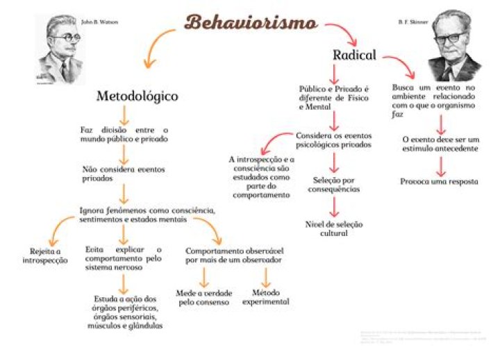 O que e o behaviorismo radical?