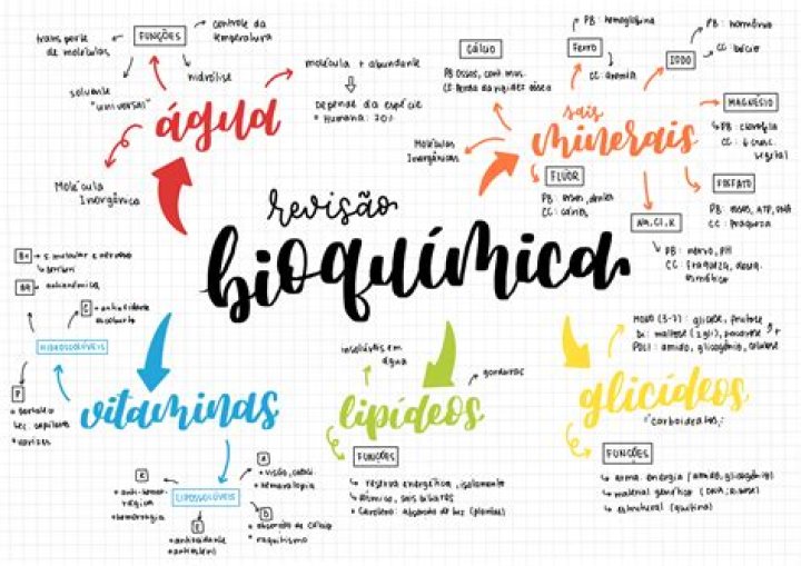Por que o Departamento de Bioquimica?