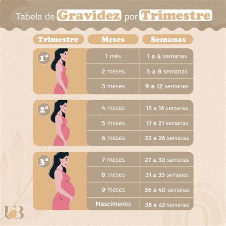 Qual e a gravidez?