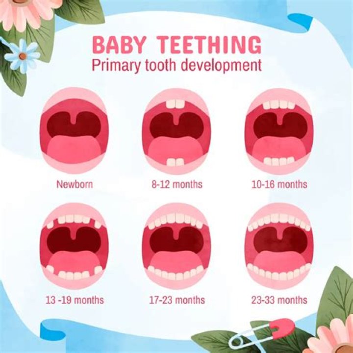 Should a 1 year old have teeth?