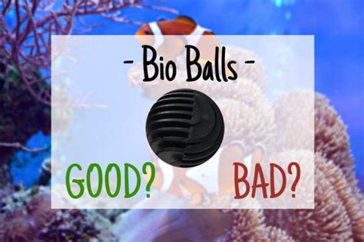 Should I put Bio balls in my sump?