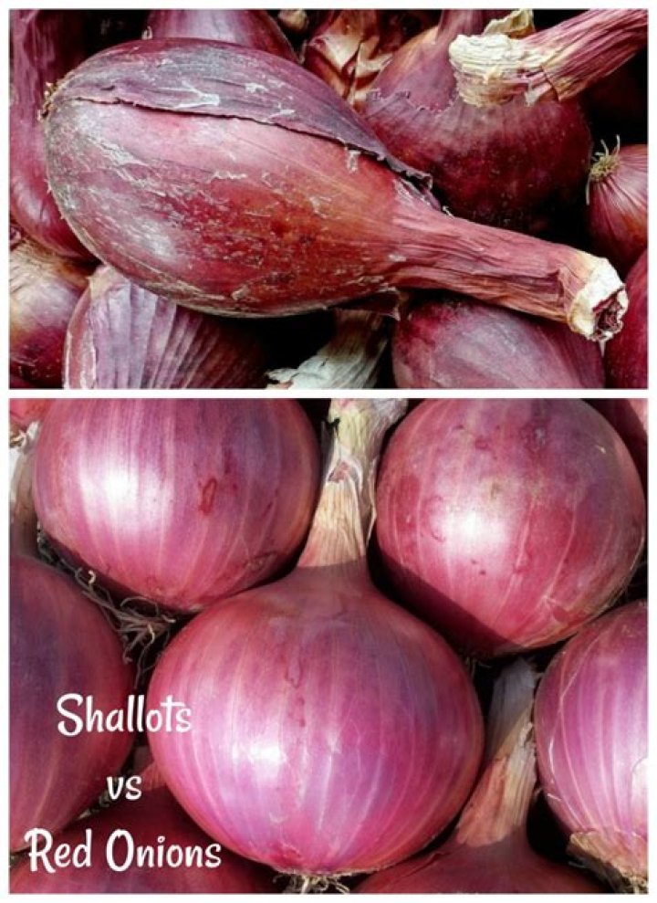 Should I use shallots or onions?