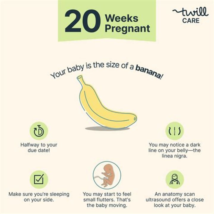Should you feel baby move everyday at 20 weeks?