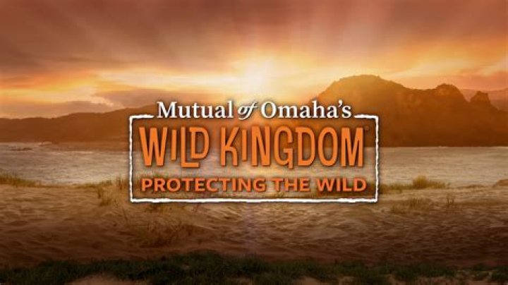 Was Mutual of Omaha Wild Kingdom staged?