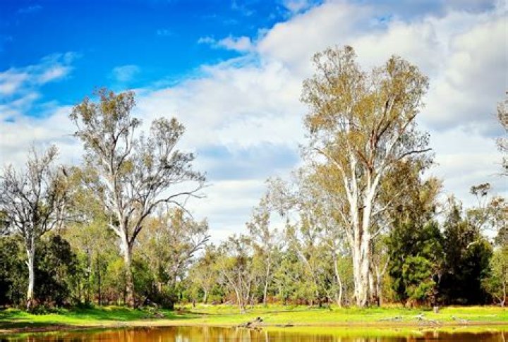 What Aboriginal country was Chinchilla in?