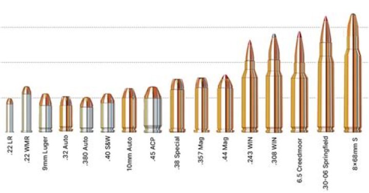 What ammo does the vector use?
