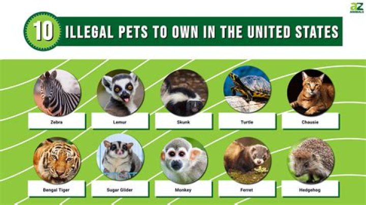 What animals are illegal in Pennsylvania?