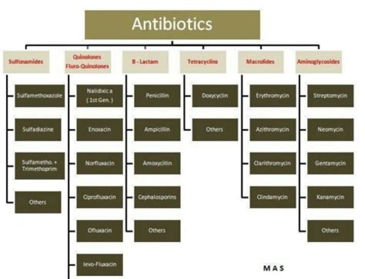 What antibiotics are used for broken bones?