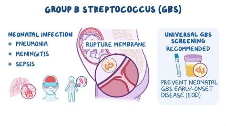 What antibiotics treat strep B in pregnancy?