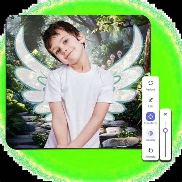 What app can i use to add wings to a photo?