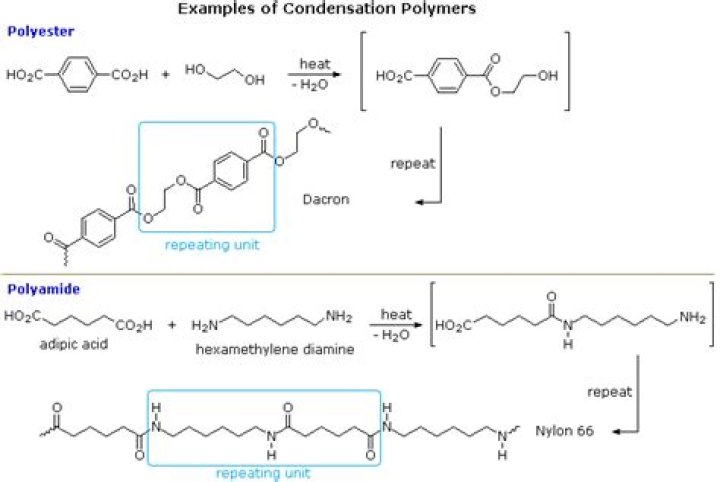 What are 5 examples of condensation polymers?