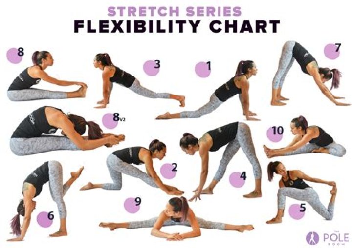 What are 5 examples of flexibility exercises?