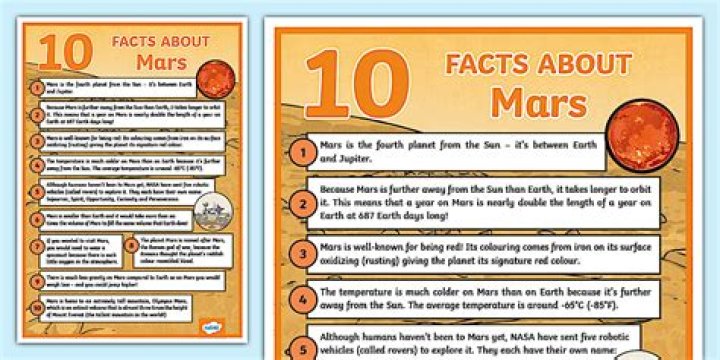 What are 5 facts about the Army?