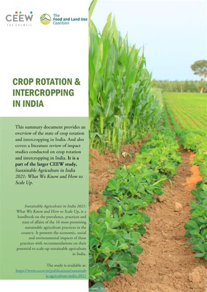 What are advantages of crop rotation?