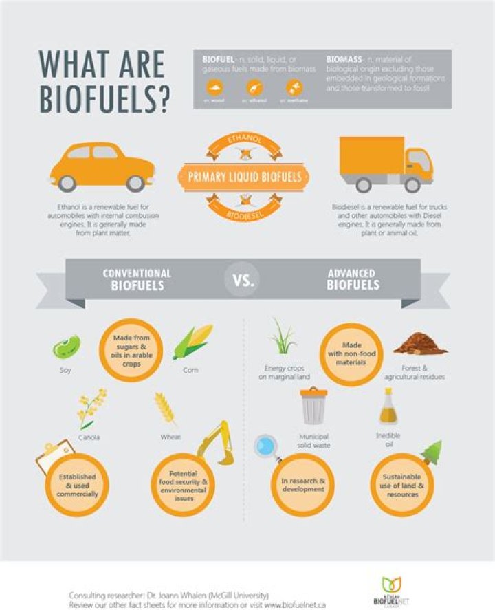 What are biofuels dictionary?